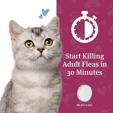 Petarmor Capaction Oral Flea Treatment for Cats, 2-25 Lbs., 12 Tabs